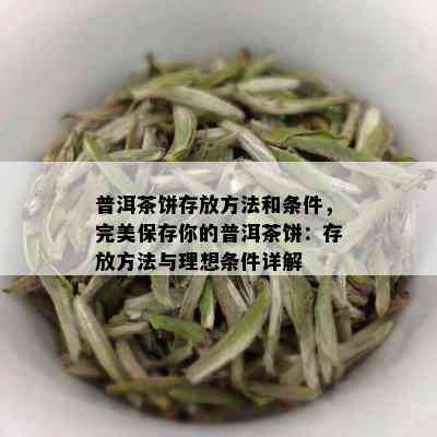 普洱茶饼存放方法和条件，完美保存你的普洱茶饼：存放方法与理想条件详解