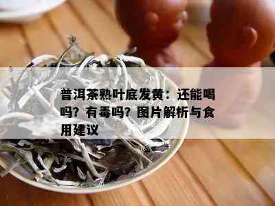 普洱茶熟叶底发黄：还能喝吗？有吗？图片解析与食用建议