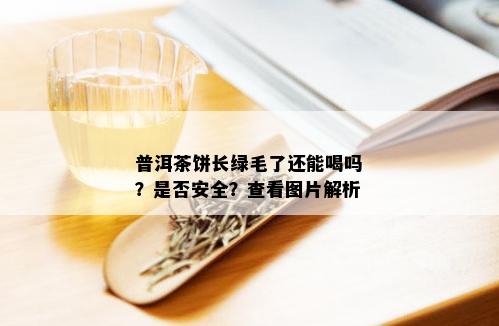 普洱茶饼长绿毛了还能喝吗？是否安全？查看图片解析