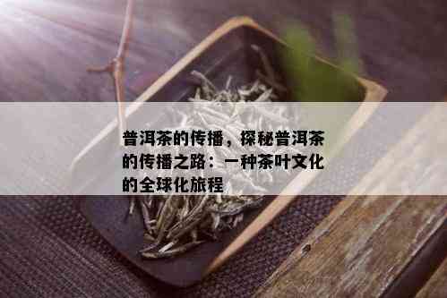 普洱茶的传播，探秘普洱茶的传播之路：一种茶叶文化的全球化旅程