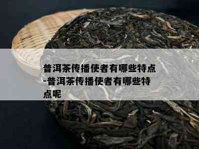 普洱茶传播使者有哪些特点-普洱茶传播使者有哪些特点呢