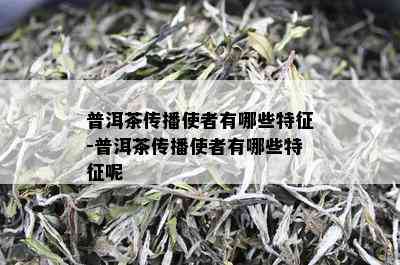 普洱茶传播使者有哪些特征-普洱茶传播使者有哪些特征呢