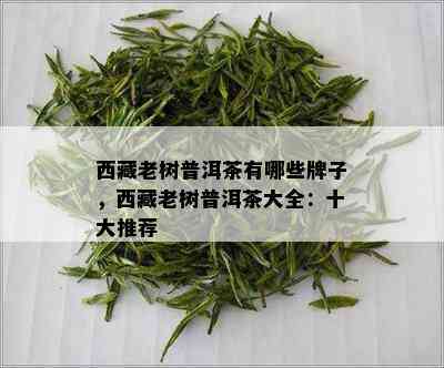  *** 老树普洱茶有哪些牌子， *** 老树普洱茶大全：十大推荐