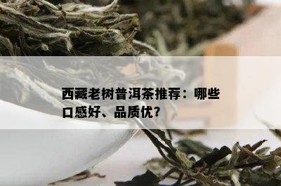  *** 老树普洱茶推荐：哪些口感好、品质优？