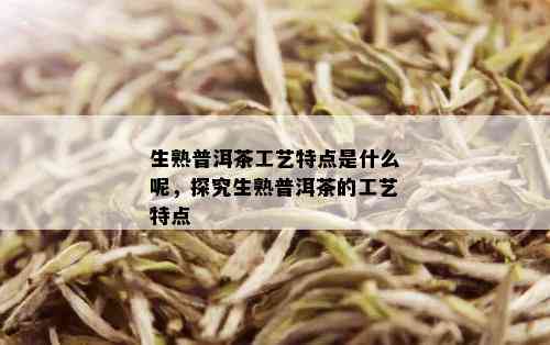 生熟普洱茶工艺特点是什么呢，探究生熟普洱茶的工艺特点