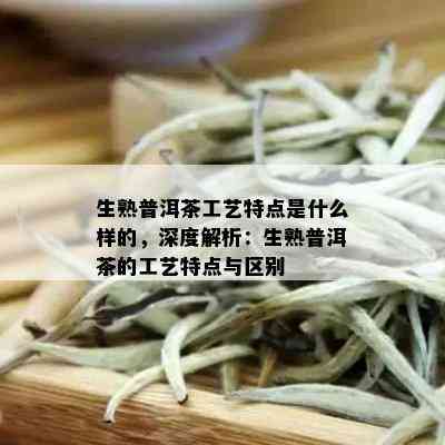 生熟普洱茶工艺特点是什么样的，深度解析：生熟普洱茶的工艺特点与区别