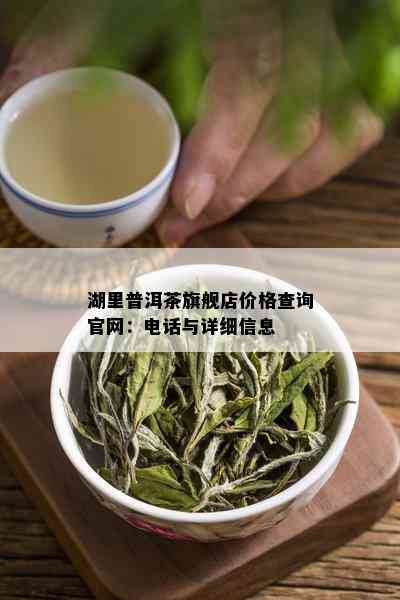 湖里普洱茶旗舰店价格查询官网：电话与详细信息