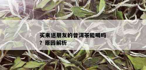 买来送朋友的普洱茶能喝吗？原因解析