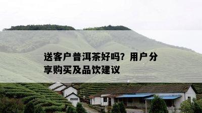 送客户普洱茶好吗？用户分享购买及品饮建议