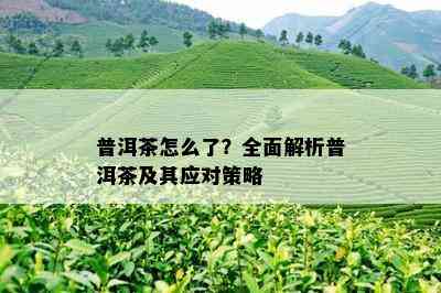 普洱茶怎么了？全面解析普洱茶及其应对策略