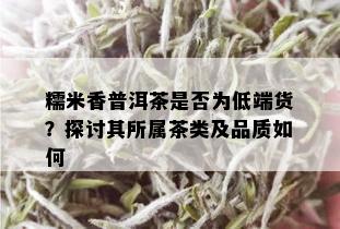 糯米香普洱茶是否为低端货？探讨其所属茶类及品质如何