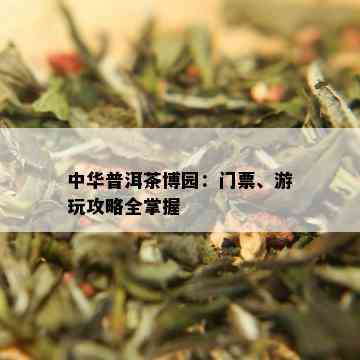 中华普洱茶博园：门票、游玩攻略全掌握