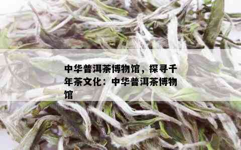 中华普洱茶博物馆，探寻千年茶文化：中华普洱茶博物馆