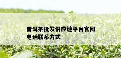 普洱茶批发供应链平台官网电话联系方式