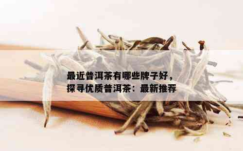 最近普洱茶有哪些牌子好，探寻优质普洱茶：最新推荐