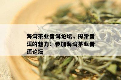 海湾茶业普洱论坛，探索普洱的魅力：参加海湾茶业普洱论坛