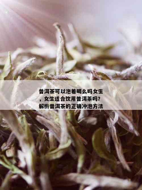 普洱茶可以泡着喝么吗女生，女生适合饮用普洱茶吗？解析普洱茶的正确冲泡方法