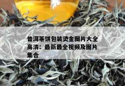 普洱茶饼包装烫金图片大全高清：最新最全视频及图片集合