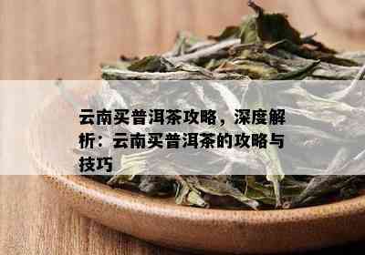 云南买普洱茶攻略，深度解析：云南买普洱茶的攻略与技巧