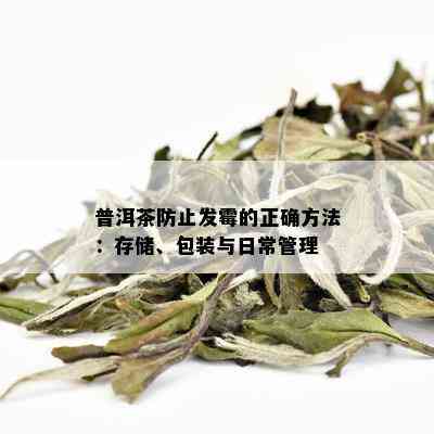 普洱茶防止发霉的正确方法：存储、包装与日常管理