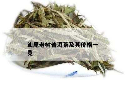 汕尾老树普洱茶及其价格一览