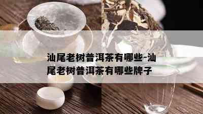 汕尾老树普洱茶有哪些-汕尾老树普洱茶有哪些牌子