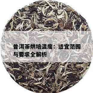 普洱茶烘培温度：适宜范围与要求全解析