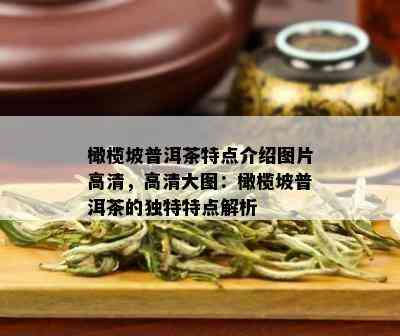 橄榄坡普洱茶特点介绍图片高清，高清大图：橄榄坡普洱茶的独特特点解析