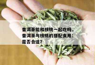 普洱茶能和核桃一起吃吗，普洱茶与核桃的搭配食用：是否合适？