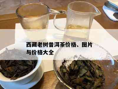  *** 老树普洱茶价格、图片与价格大全