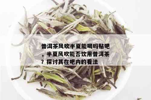 普洱茶风吹半夏能喝吗贴吧，半夏风吹能否饮用普洱茶？探讨其在吧内的看法