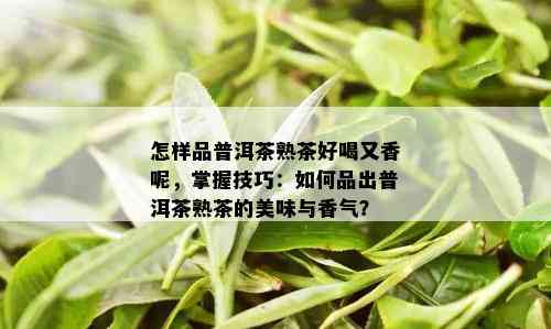 怎样品普洱茶熟茶好喝又香呢，掌握技巧：如何品出普洱茶熟茶的美味与香气？