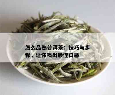 怎么品熟普洱茶：技巧与步骤，让你喝出更佳口感