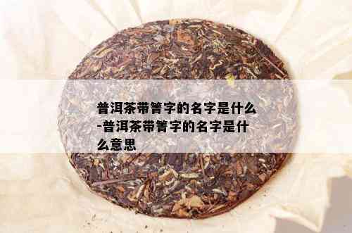 普洱茶带箐字的名字是什么-普洱茶带箐字的名字是什么意思