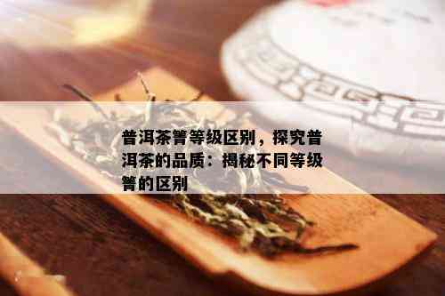 普洱茶箐等级区别，探究普洱茶的品质：揭秘不同等级箐的区别