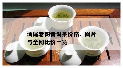 汕尾老树普洱茶价格、图片与全网比价一览