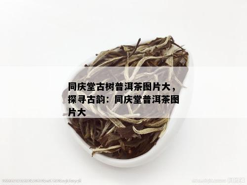 同庆堂古树普洱茶图片大，探寻古韵：同庆堂普洱茶图片大