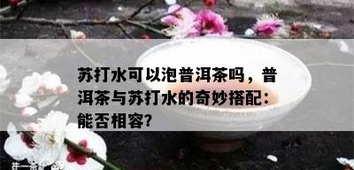 苏打水可以泡普洱茶吗，普洱茶与苏打水的奇妙搭配：能否相容？