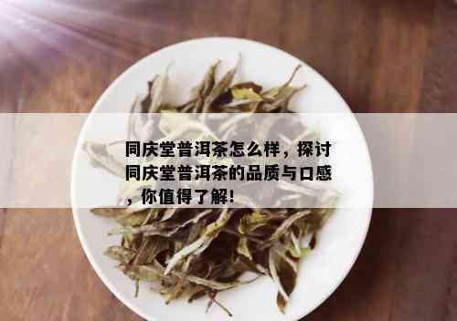 同庆堂普洱茶怎么样，探讨同庆堂普洱茶的品质与口感，你值得了解！