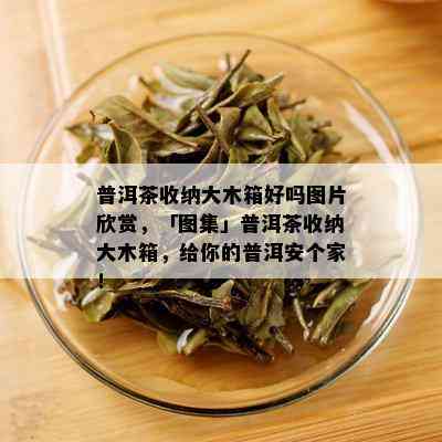 普洱茶收纳大木箱好吗图片欣赏，「图集」普洱茶收纳大木箱，给你的普洱安个家！