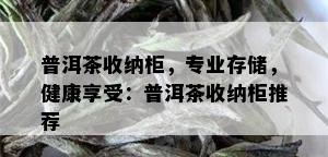 普洱茶收纳柜，专业存储，健康享受：普洱茶收纳柜推荐