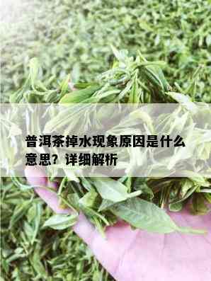 普洱茶掉水现象原因是什么意思？详细解析