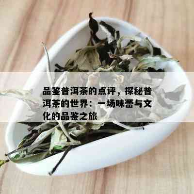 品鉴普洱茶的点评，探秘普洱茶的世界：一场味蕾与文化的品鉴之旅