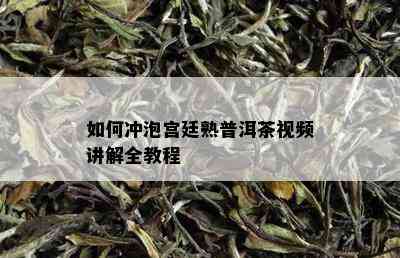 如何冲泡宫廷熟普洱茶视频讲解全教程