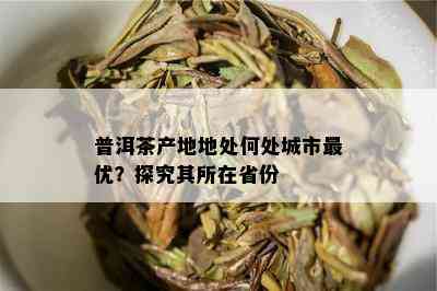 普洱茶产地地处何处城市更优？探究其所在省份