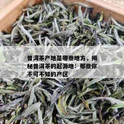 普洱茶产地是哪些地方，揭秘普洱茶的起源地：那些你不可不知的产区