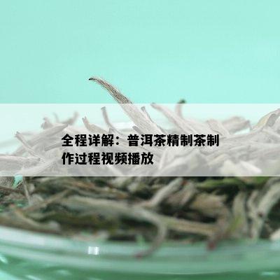 全程详解：普洱茶精制茶制作过程视频播放