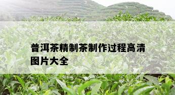 普洱茶精制茶制作过程高清图片大全