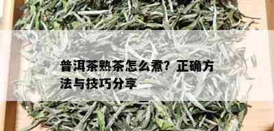 普洱茶熟茶怎么煮？正确方法与技巧分享