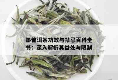 熟普洱茶功效与禁忌百科全书：深入解析其益处与限制